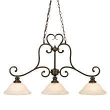 Golden 8063-10 BUS - Wry Lighting Heartwood 3-light Pendant in Burnt Sienna